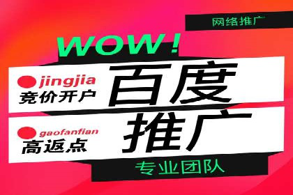网络推广与竞价优化成功案例