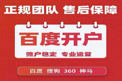 SEM优化策略案例分析